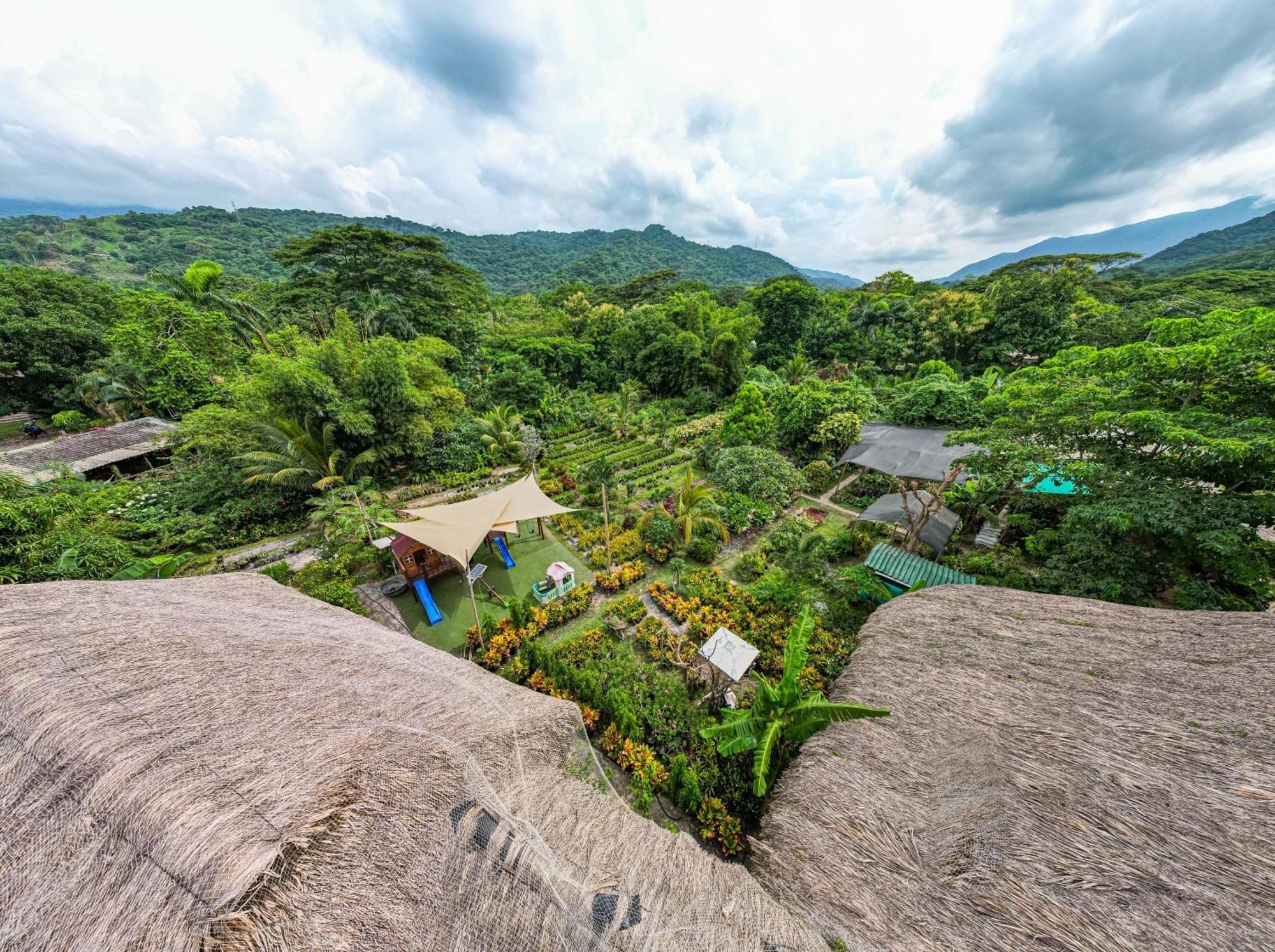 Portales Del Tayrona Garden Hotel Calabazo  المظهر الخارجي الصورة